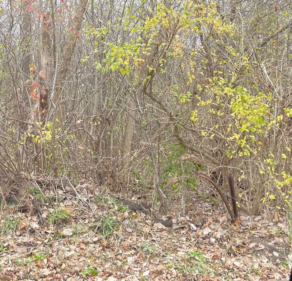 38221 New York Avenue - Photo 1