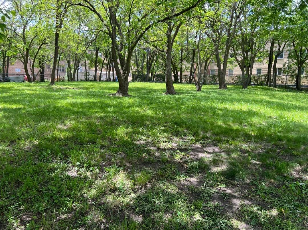 2121 72nd Street - Photo 1