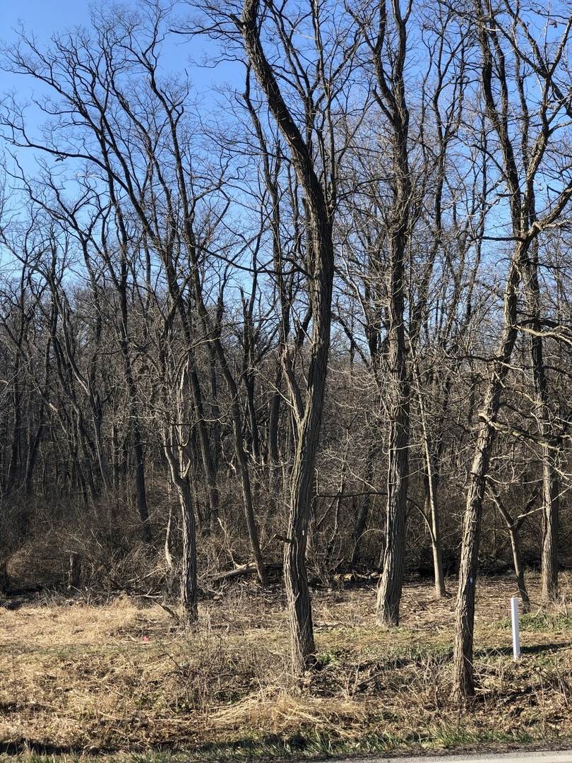 12940 Hadley #3 Hadley Road - Photo 1