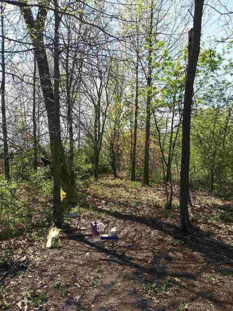 100 4500 Road - Photo 1