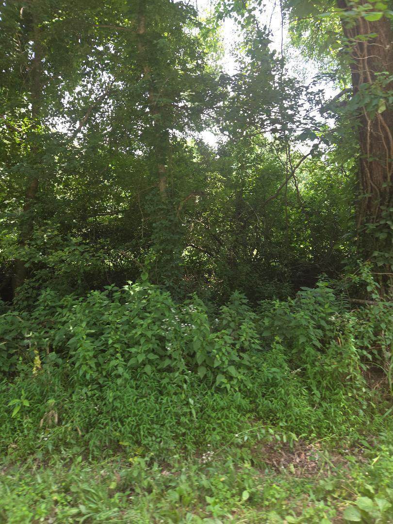 206 Old Villa Ridge Road - Photo 1