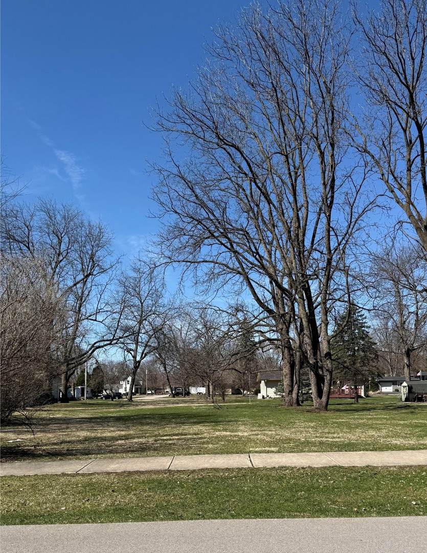 Commonly Known As Vacant Land On Lafayette Street - Photo 1