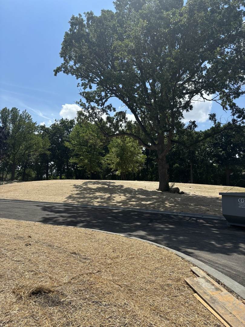 1752 Midwest Club Parkway - Photo 1