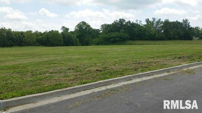 Lot 13 Financial Loop - Photo 1