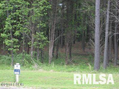 Lot 358 Parrish Ridge Lane - Photo 1