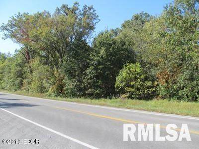 0000 Illinois Highway 15 - Photo 1