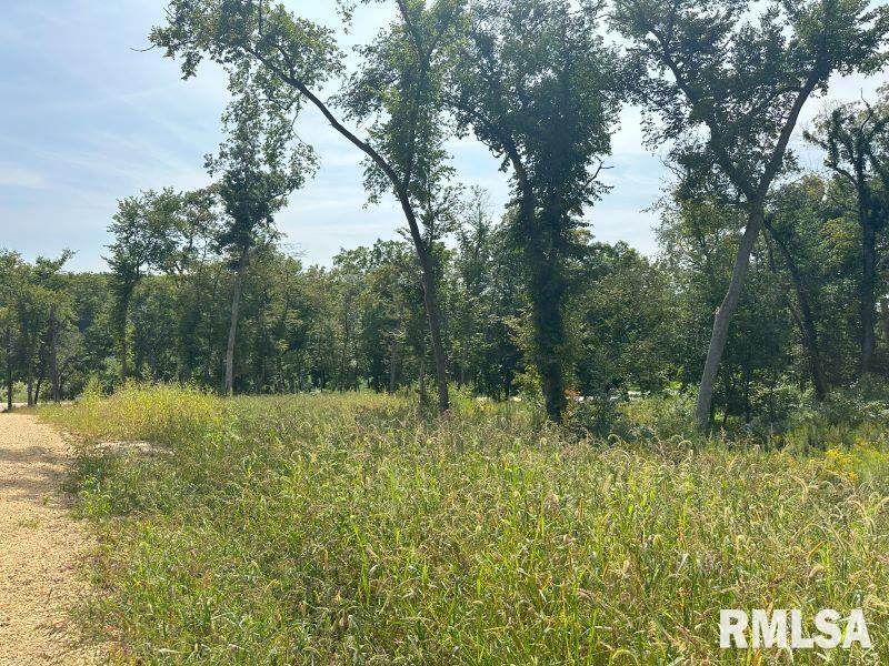 Lot 1 225TH Street - Photo 1