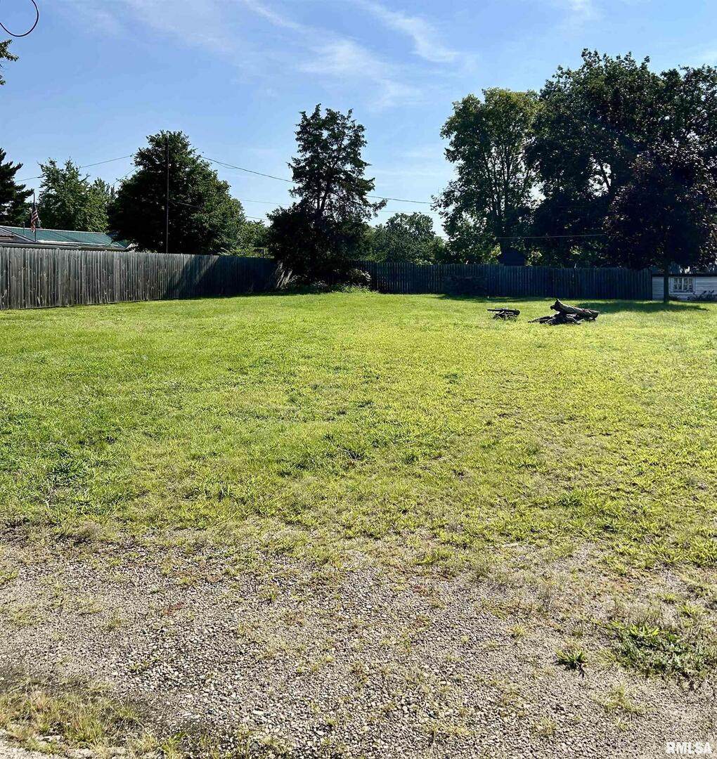 1108 Harts Ave Avenue - Photo 1