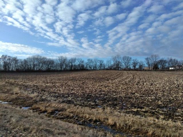 000 Corner Of Route 47 & Lees Road - Photo 1