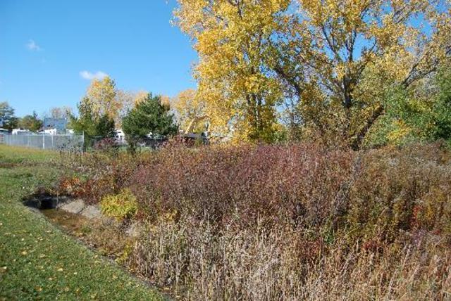 LOT 6 16th Street - Photo 1