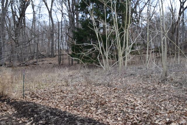 LOT 1 River Road - Photo 1