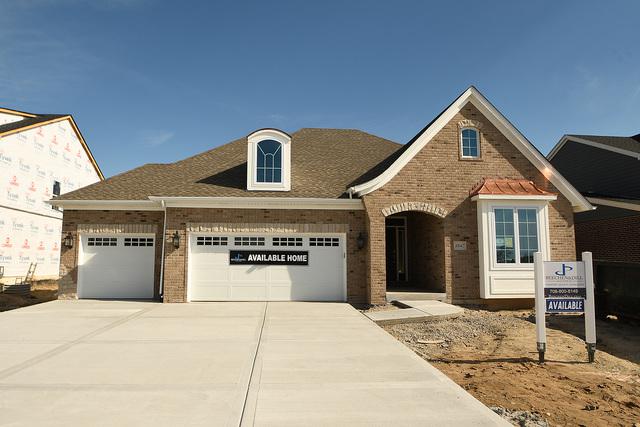 10042 Franchesca Lane - Photo 1