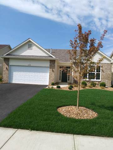 16808 Balaton Drive - Photo 1