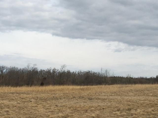 Lot #35 Longwood Drive - Photo 1