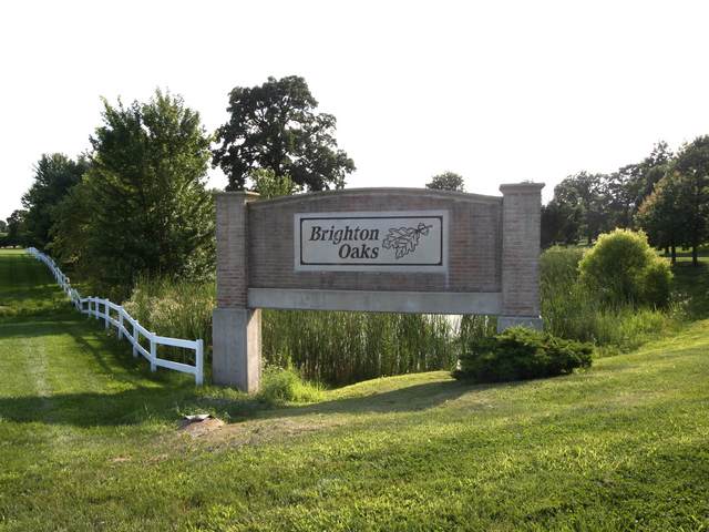 11398 Brighton Oaks Drive - Photo 1
