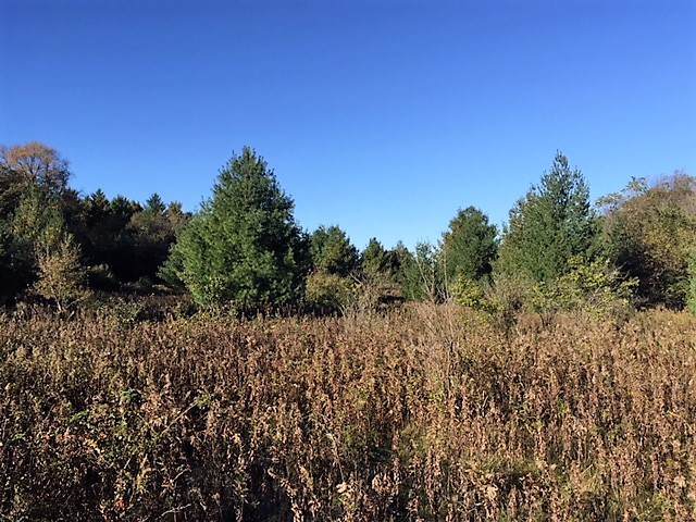 00 Cherry Valley Road - Photo 1