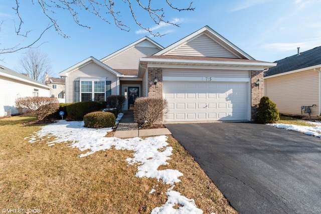 715 Mecosta Lane - Photo 1