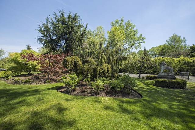1355 Rosemary Lane - Photo 1