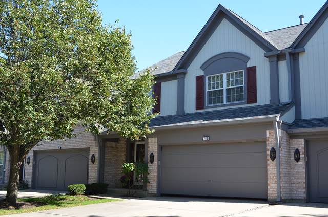 703 Alsace Circle - Photo 1