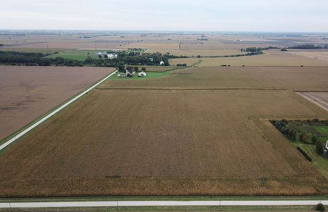 12901 Kennedy Road - Photo 1