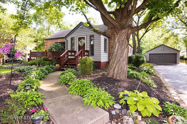 507 Elmhurst Road - Photo 1
