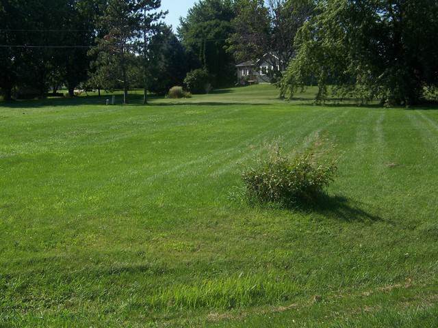 1994 Rosemary Circle - Photo 1