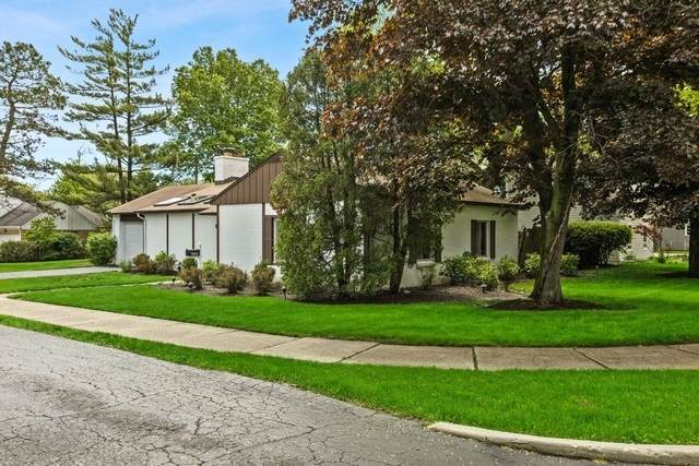 353 Graemere Street - Photo 1