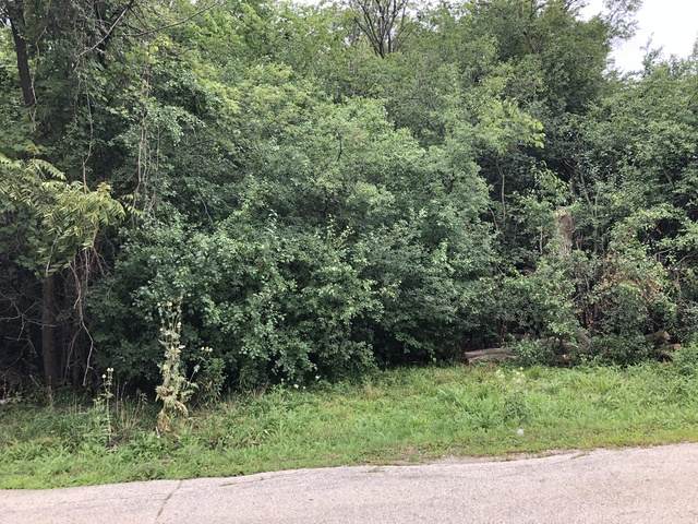 4170 Phyllis Road - Photo 1