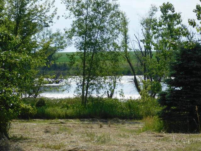 6/7/8 Paw Paw Road - Photo 1