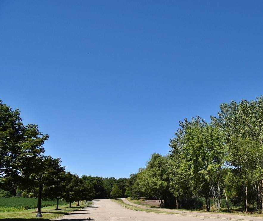 295 Rolling Oaks Drive - Photo 1