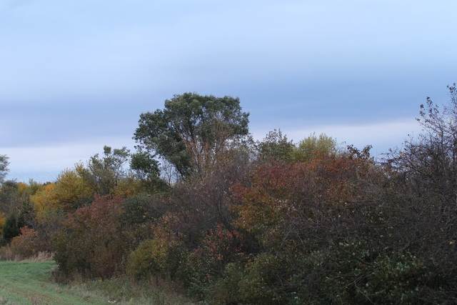 Lot 2 Fabyan Parkway - Photo 1