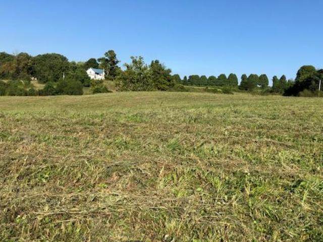 297 Hickory Ridge Road - Photo 1