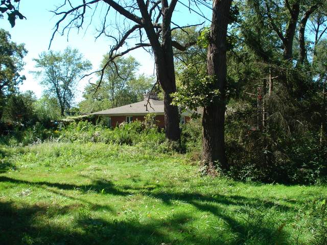9513-17 Forest Place - Photo 1