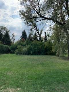 949 Internationale Parkway - Photo 1