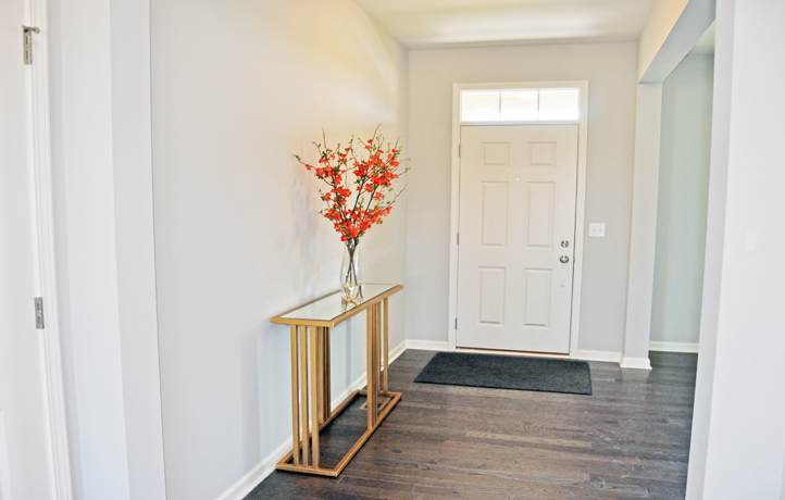 1008 Blazing Star Street - Photo 1