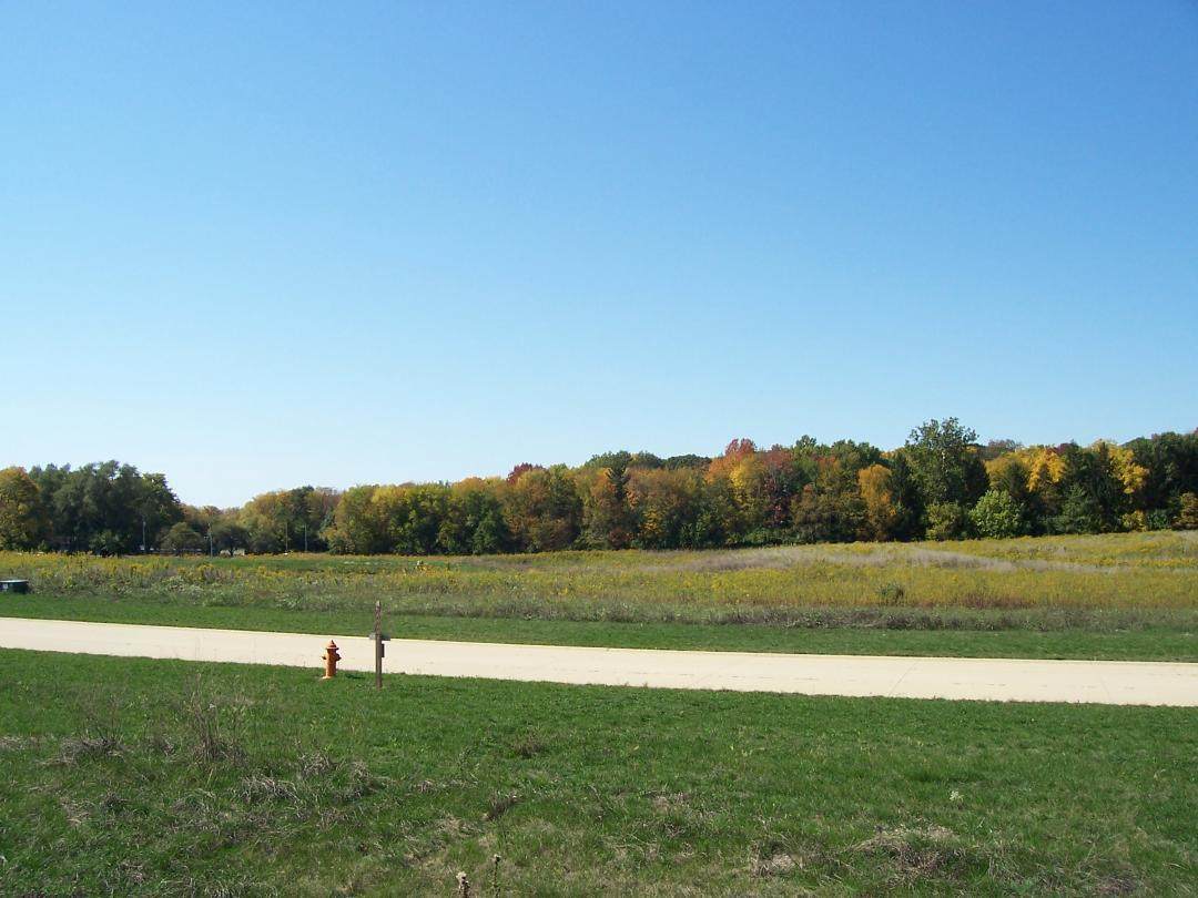 2904 Brickhouses Road - Photo 1
