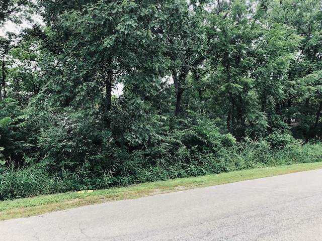 12412 Mackinac Road - Photo 1