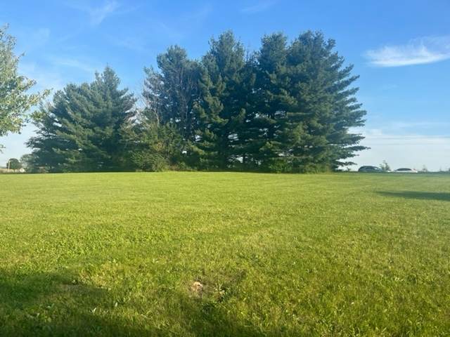 208 Flambeau Lane - Photo 1
