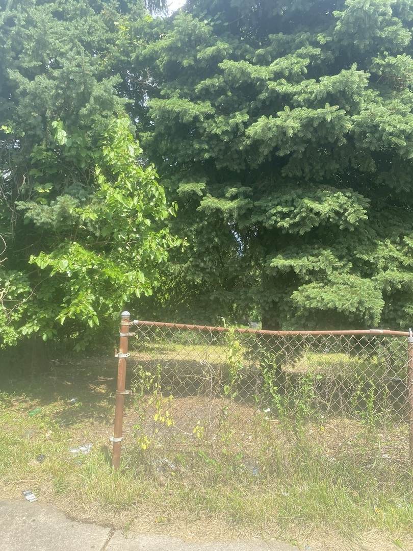 11611 Michigan Avenue - Photo 1