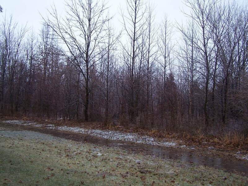 0000 Adams Drive - Photo 1