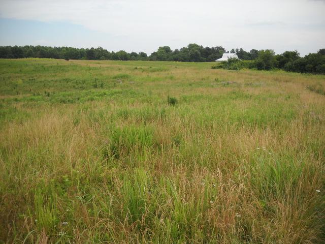 1285 Milligan Hill Road - Photo 1