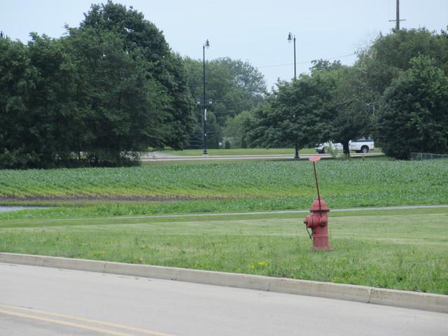 12025 Oakcrest Drive - Photo 1