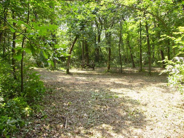 Os810 Autumn Woods Lane - Photo 1