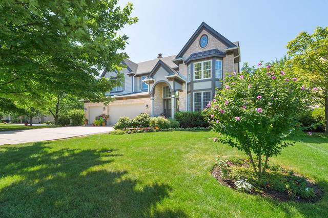 11035 Ashbrook Lane - Photo 1