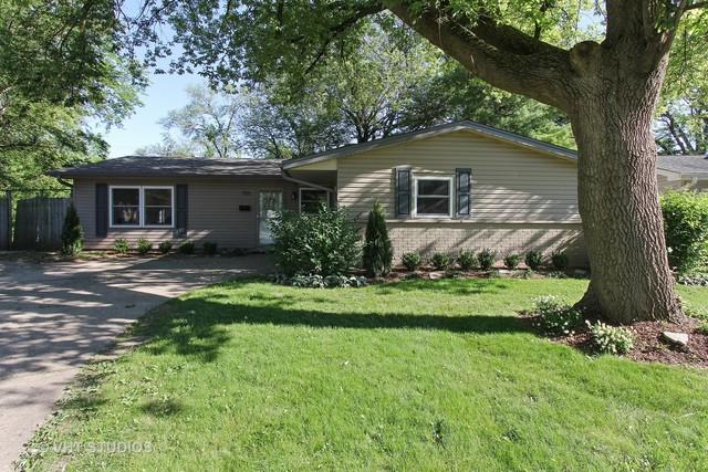 905 Wilshire Drive, Wheeling, IL 60090 (MLS #09601736) :: MKT Properties | Keller Williams