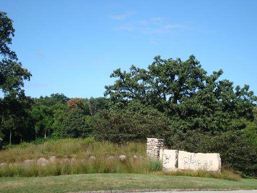 Lot #79 Longwood Drive - Photo 1