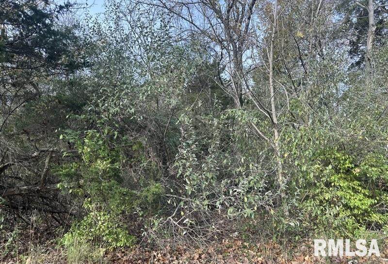 Lot 177 Sycamore Street - Photo 1