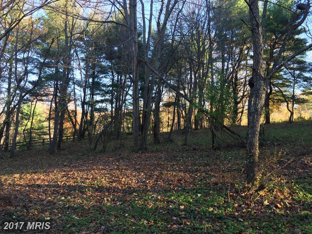Prettyboy Dam Road - Photo 1