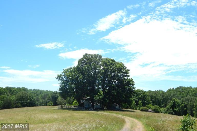 21465 Countryside Lane - Photo 1