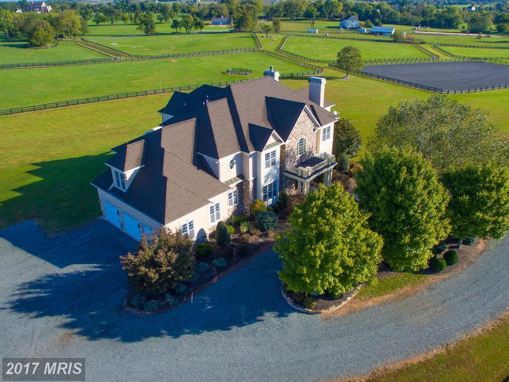 15679 Limestone School Road - Photo 1